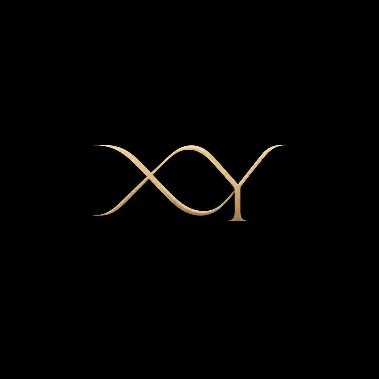 干净的纯黑色背景。平面logo设计，两个字母"XY"，极简线条… - 图片创意预览