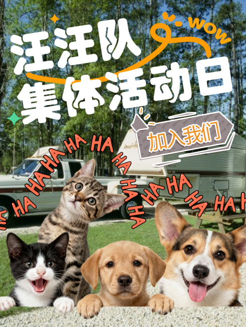 汪汪队活动小红书封面预览效果