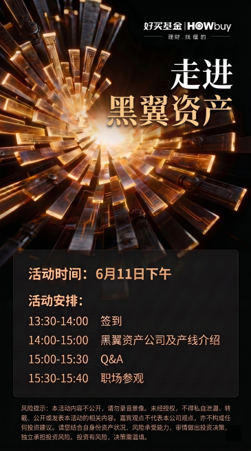 将“走进黑翼资产”调整为参考图的字体样式：第一行“走进黑翼资产”为白色字体，保持两行不变，位置在右上角LOGO下方不变，颜色排版参考参考图：第一行白色，第二行金色，和参考图一致，保持原图背景、黑金风格预览效果