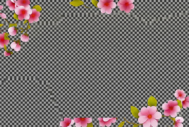 去掉底色