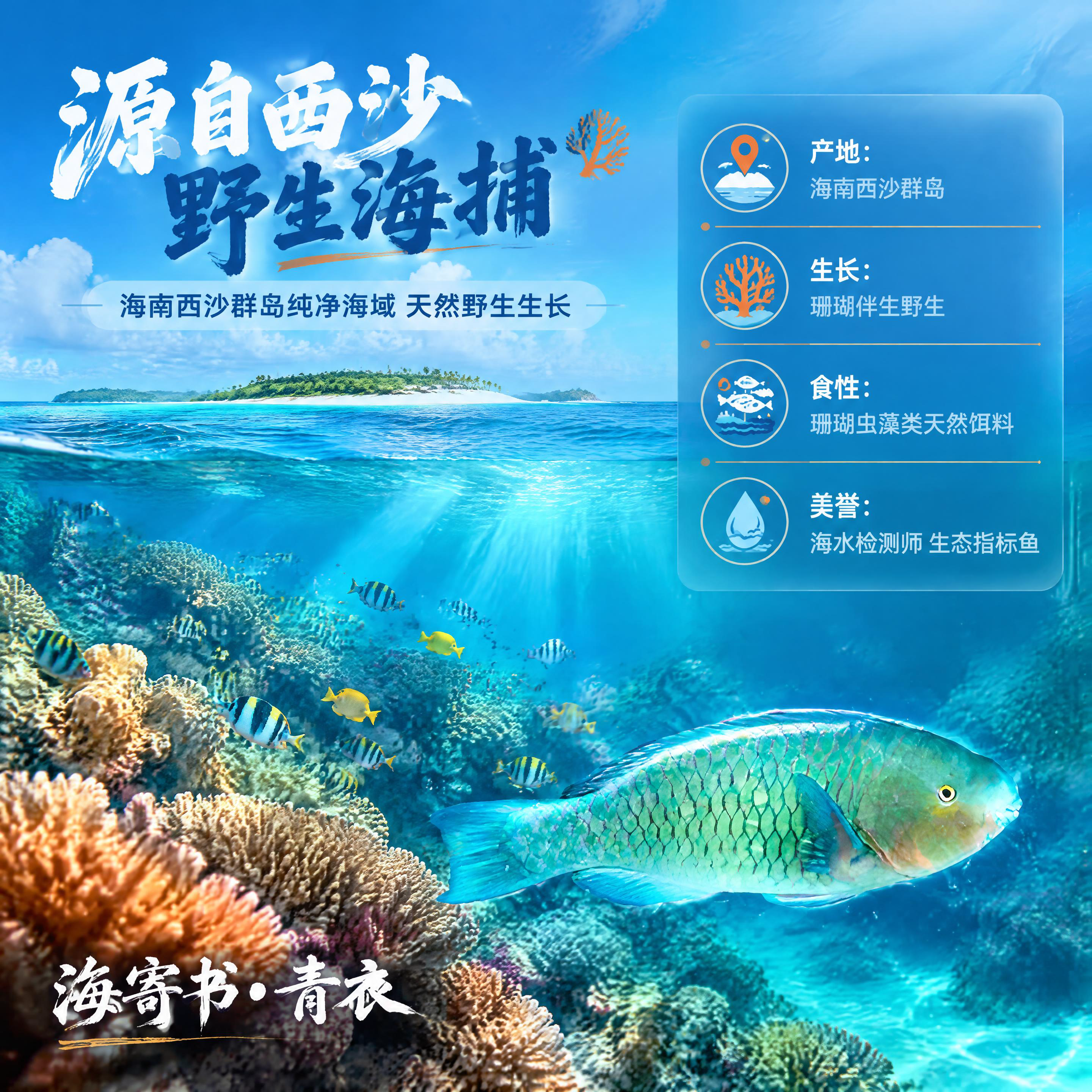 [商品] 使用【图1】青衣鱼产品图；保留鱼身蓝绿色鳞片纹理、整… - 图片创意预览