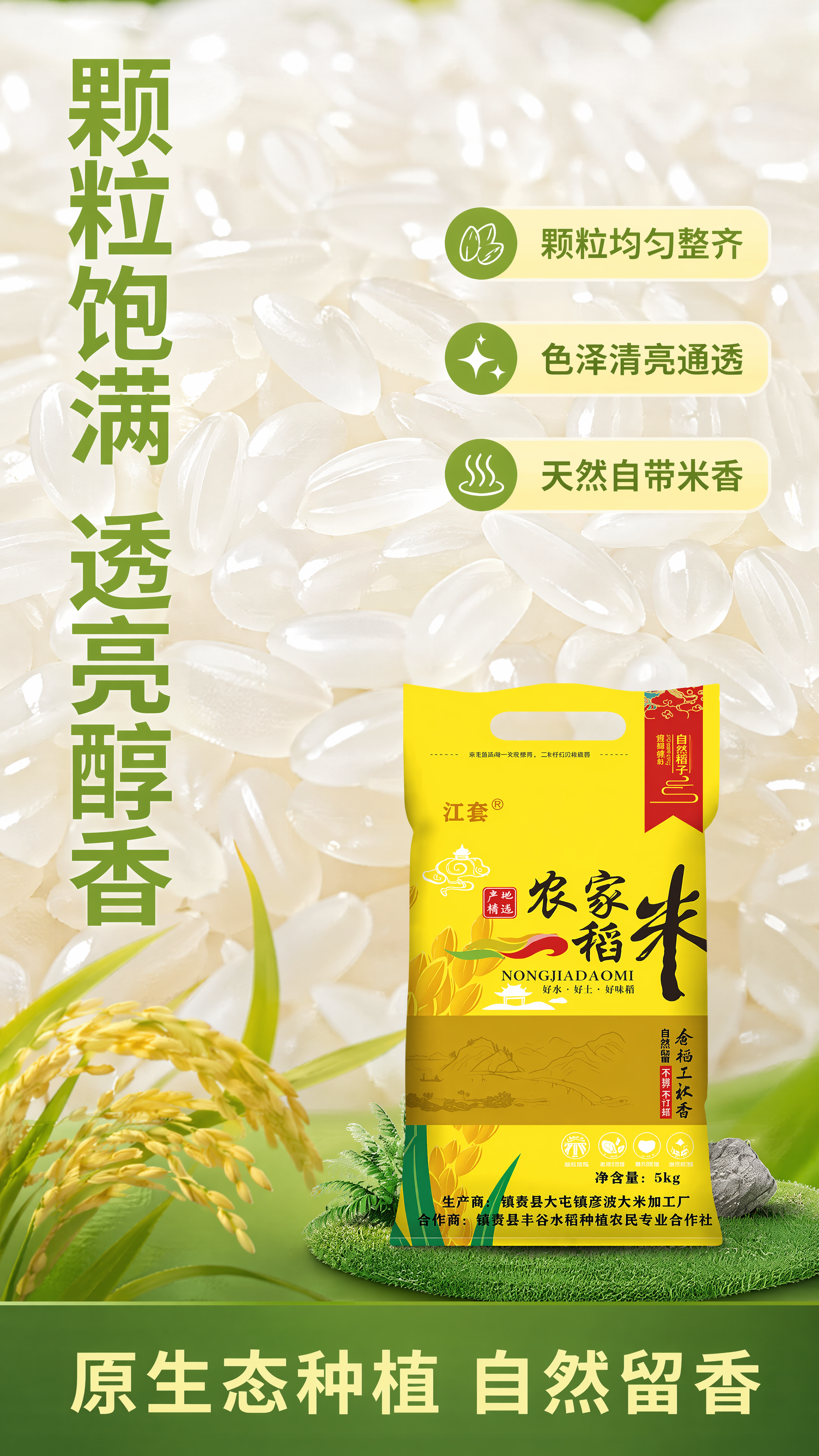 [第3屏] 米粒质感特写，本屏搭配【图1】包装小图放底部。上半… - 图片创意预览