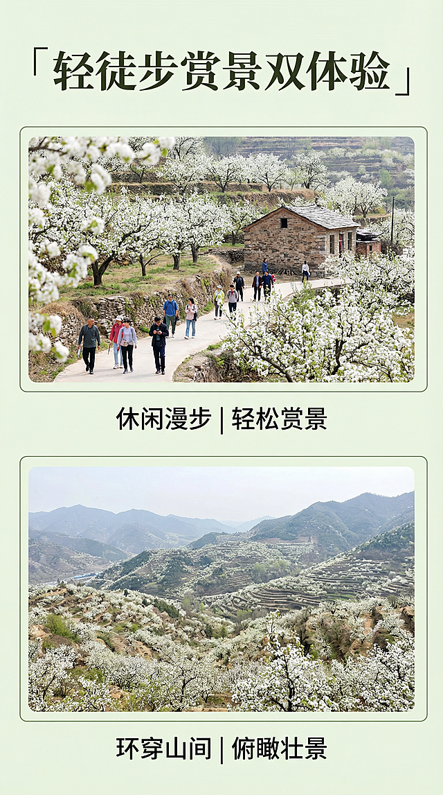 [主图 5] 轻徒步赏景双体验
[氛围/风格] 活力户外风，春日清新通透
[画面元素] 分上下两个小画框，上方展示休闲路线：游客漫步梯田梨花小径，下方展示徒步路线：山顶俯瞰梨花山峦，保留原图梨花景观风格，两个画框光影统一，整体边框简洁不抢镜
[配色色系] 整体保持原图自然清新配色，嫩绿+雪白主调
[视角构图] 上下分屏，双场景展示，构图饱满
[文字版式] 顶部通栏主标题「轻徒步赏景双体验」，两个画框下方分别标注副标题「休闲漫步 | 轻松赏景」「环穿山间 | 俯瞰壮景」，深色字，文字简洁清晰，不遮挡主体风景
[比例分辨率] 9:16 比例，2k 分辨率