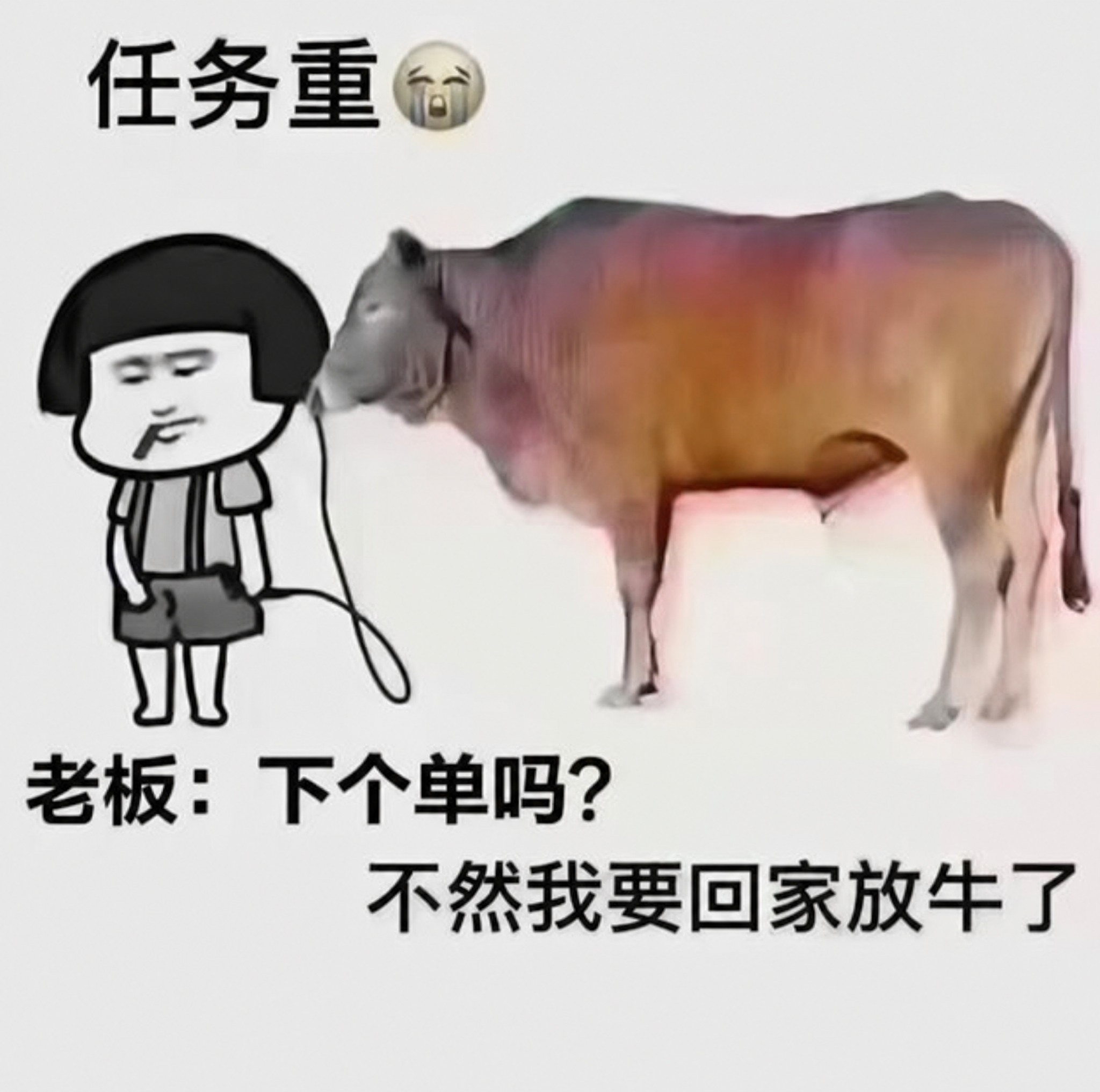 去除图片底部的抖音号、小红书号等所有水印文字，严格保留图片中其… - 图片创意预览