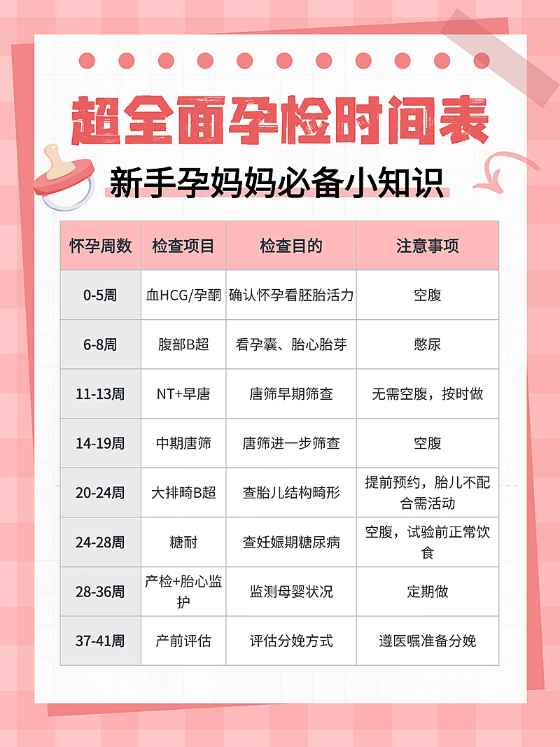 扁平手帐风孕检时间表知识分享小红书配图
