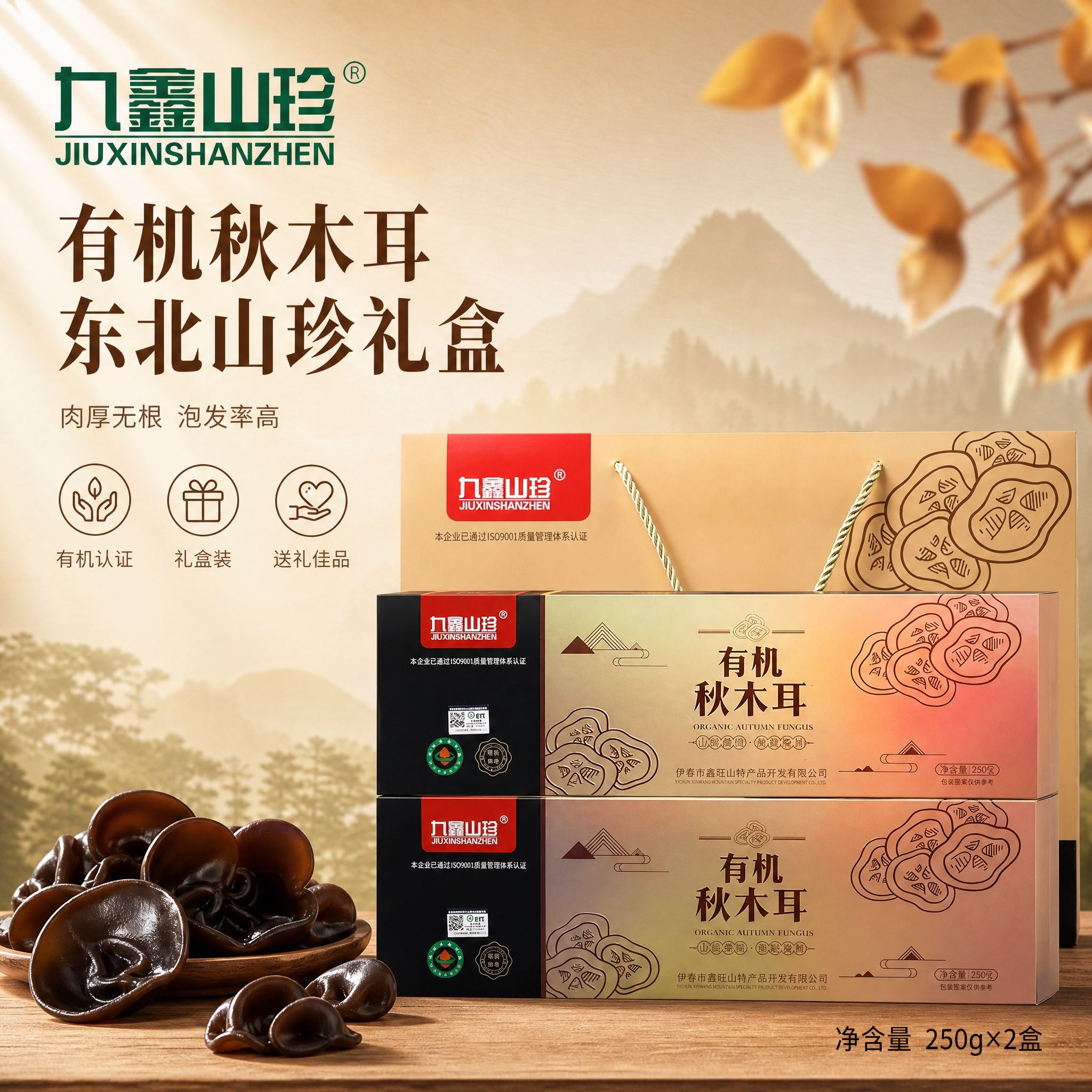 基于输入的九鑫山珍有机秋木耳礼盒产品图，生成一张淘宝/天猫1:… - 图片创意预览