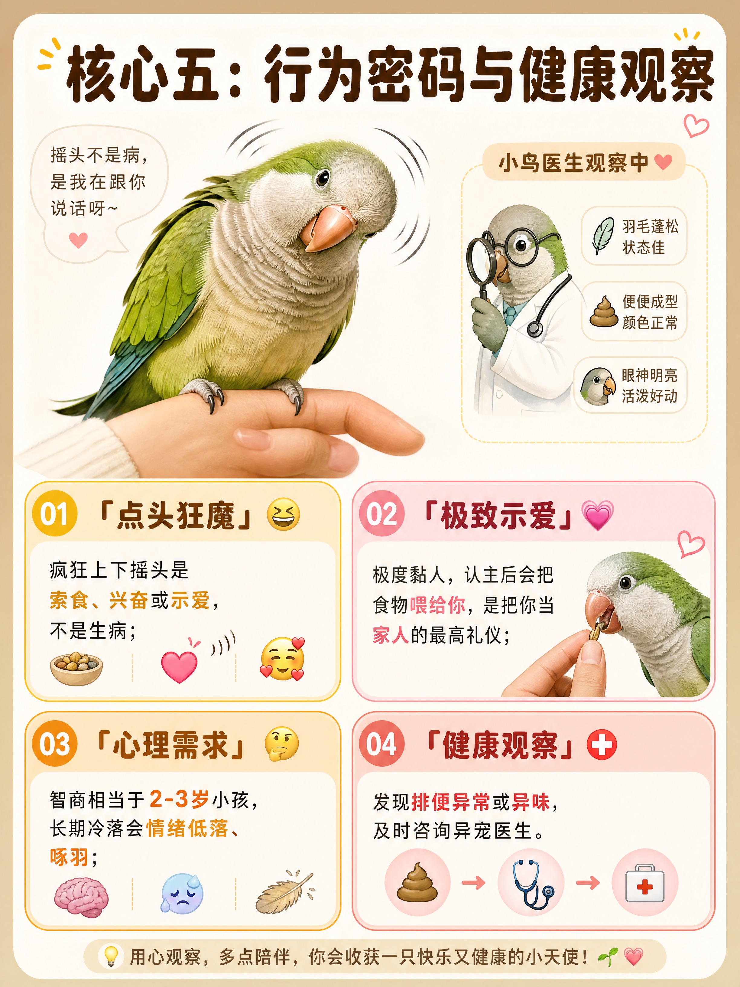 小红书科普图文内页，温暖治愈，米白浅棕底色，圆角卡片分区，干货… - 图片创意预览