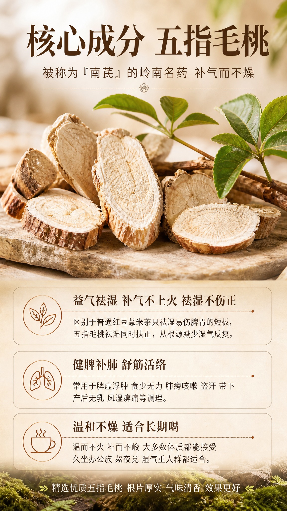 [详情页-第9张 五指毛桃核心成分] [商品] 使用【图5】中… - 图片创意预览