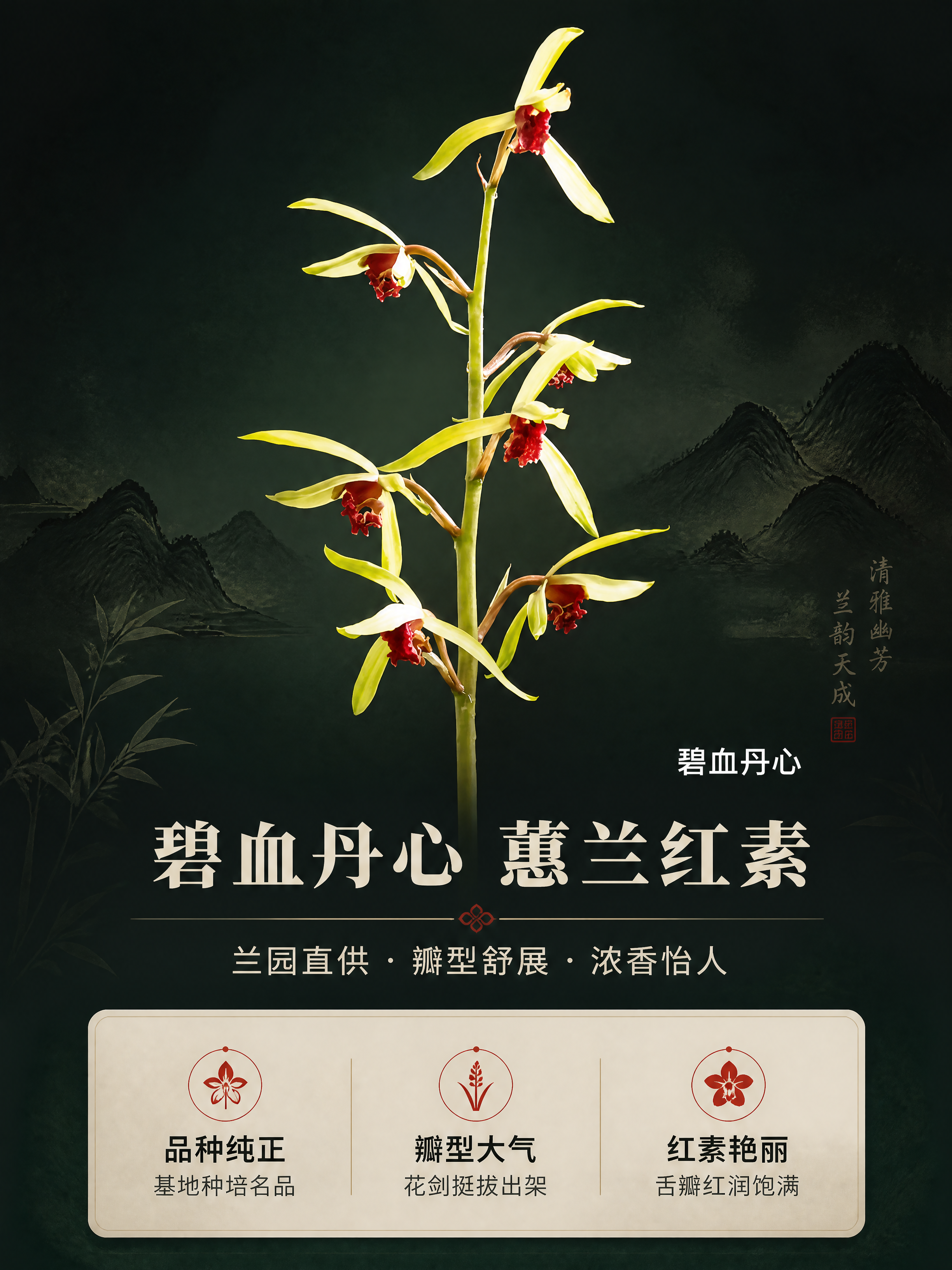 [商品] 使用【图1】碧血丹心蕙兰开花图；保留兰花黄绿色外瓣、… - 图片创意预览