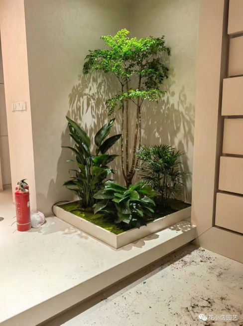 把这些照片的尺寸调成1242*1660，调整亮度，加上花小店园艺水印预览效果
