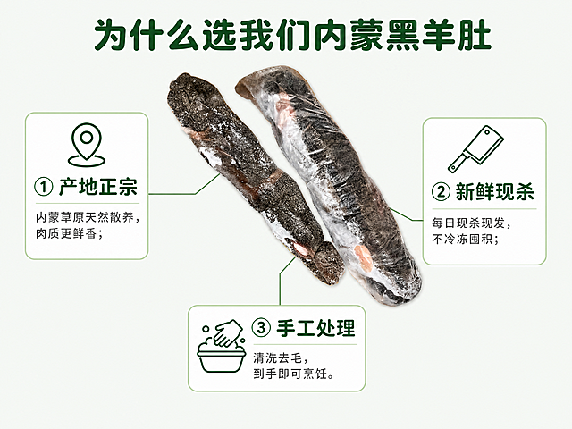 [第7屏] 内蒙黑羊肚三大选购理由卖点拆解屏。
[氛围/风格] 清晰说理，干净通透，突出优势，专业可靠质感。
[元素布局] 使用【图1】产品图放在画面中上偏中心位置，占据40%区域，三条卖点引线从产品向外引出，分别指向三个不同方向的卖点卡。每个卖点卡包含图标、标题和简短说明，背景浅色带浅绿边框，整体布局清晰不拥挤。保持产品形态与输入图一致。
[光影质感] 均匀柔光，产品清晰突出，卖点卡片亮度一致，每个卖点都清晰易读，没有明显阴影遮挡。
[配色色系] 全局底色：#F2F7F0（浅草绿灰）；主体产品保持原深灰褐色，卖点卡浅绿边框+白色底色，文字深绿+深灰，保持全套配色一致。
[视角构图] 中心产品+发散引线卖点构图，中心产品聚焦，卖点环绕平衡，信息层级清晰。
[文字版式] 顶部大标题「为什么选我们内蒙黑羊肚」，深绿色圆角黑体，居中对齐，字号画面宽度6.5%。中心产品向外引出三个卖点：① 「产地正宗」内蒙草原天然散养，肉质更鲜香；② 「新鲜现杀」每日现杀现发，不冷冻囤积；③ 「手工处理」清洗去毛，到手即可烹饪。每个卖点标题加粗深绿色，说明文字深灰色，图标用简约绿色线描。字形路线圆角黑体，字色深绿+深灰两种，字效纯色填充，延续首屏规范。
[比例分辨率] 4:3竖版比例，4K分辨率，文字清晰可辨，超高清。
[负向提示词] 引线错乱，卡片重叠，文字模糊，产品变形。