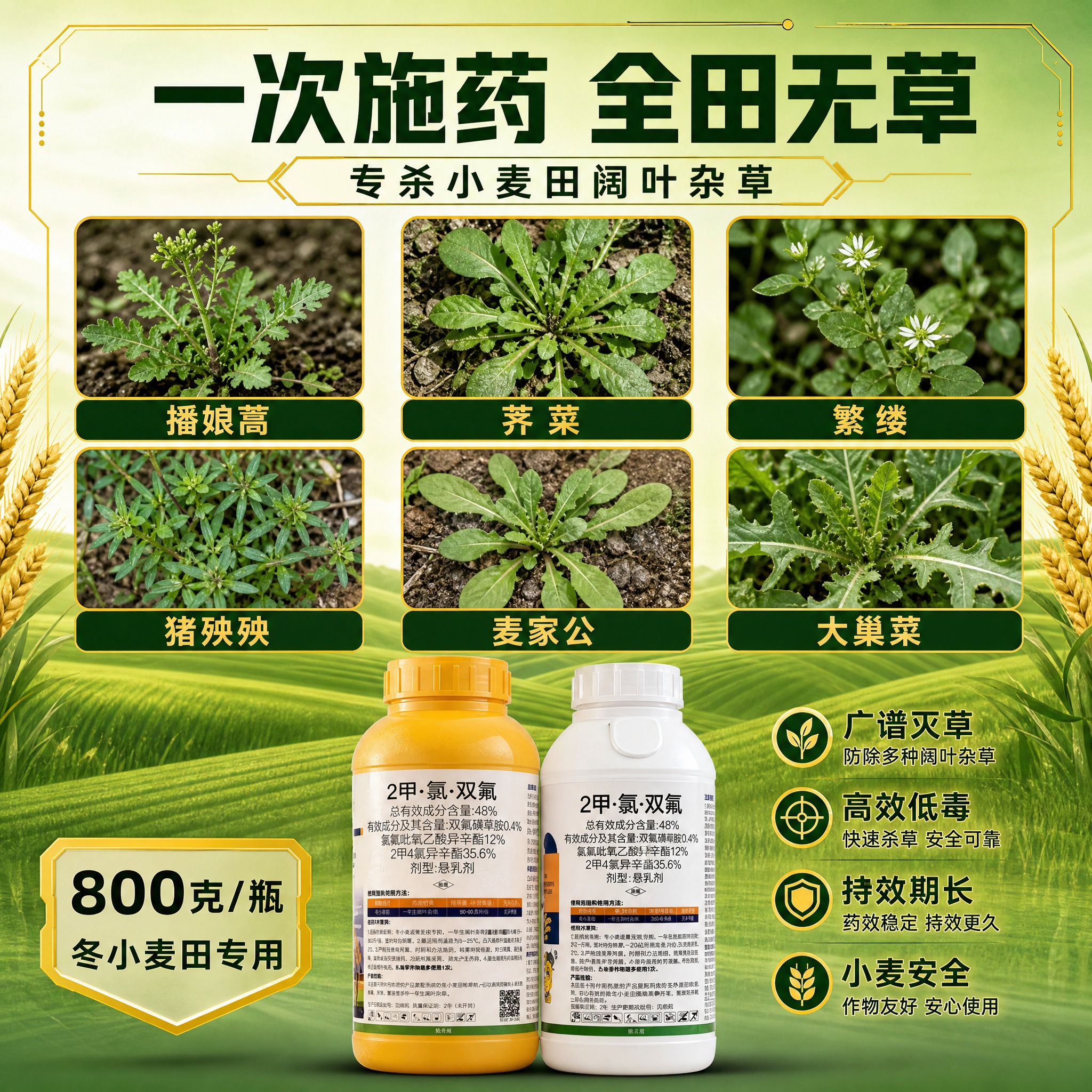 [主图-3] 2甲·氯·双氟 小麦阔叶草专用除草剂 防除杂草谱… - 图片创意预览