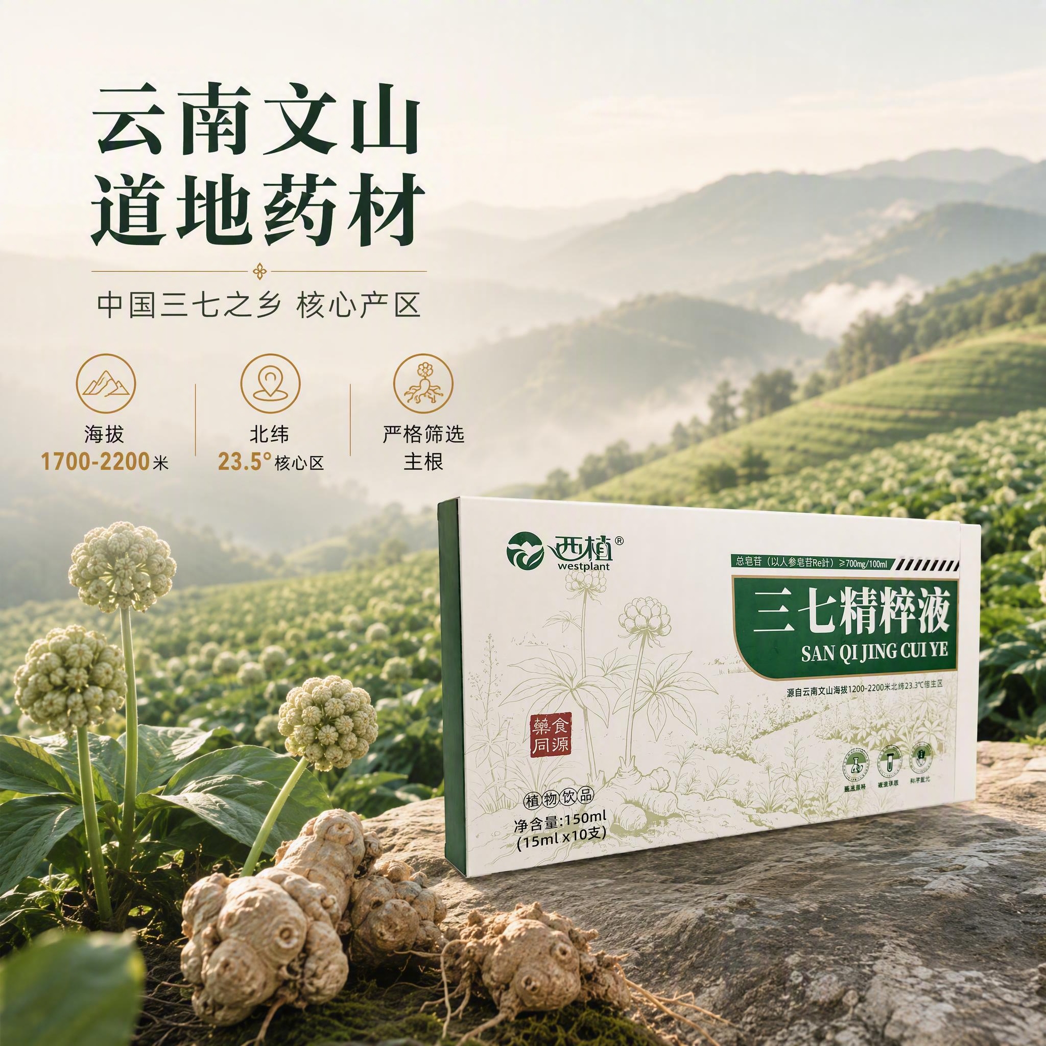 [主图-2] 原料产地卖点图，云南文山道地药材核心产区。 [统… - 图片创意预览