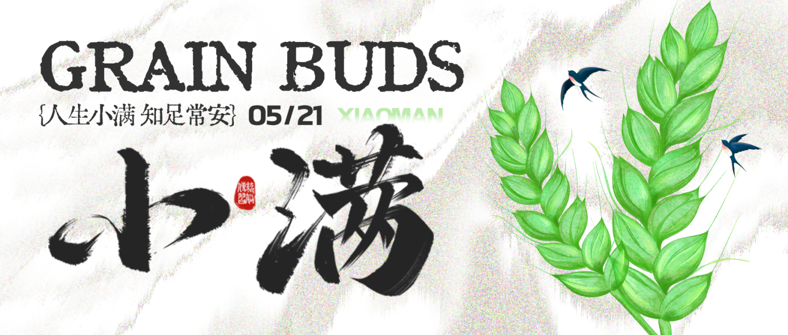 小满通用节气祝福水墨风微信公众号首图预览效果