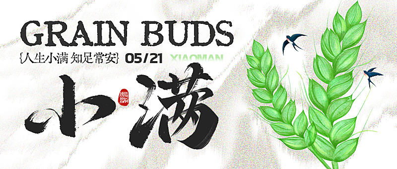 小满通用节气祝福水墨风微信公众号首图