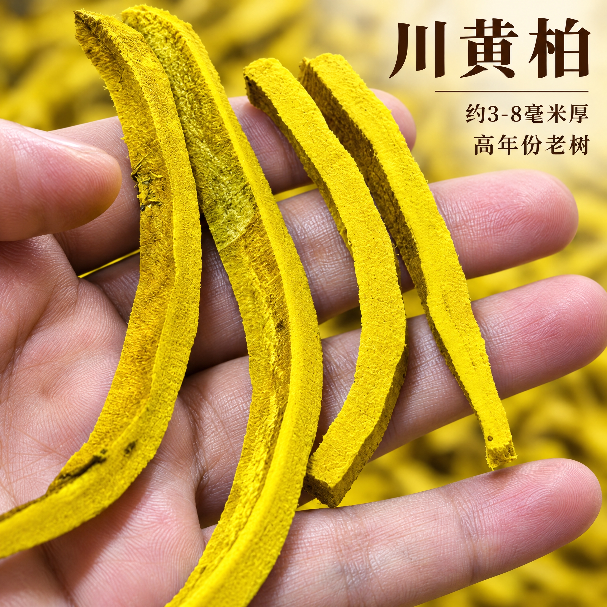 基于上传的川黄柏素材进行主图创作，严格使用上传素材，完整保留原… - 图片创意预览
