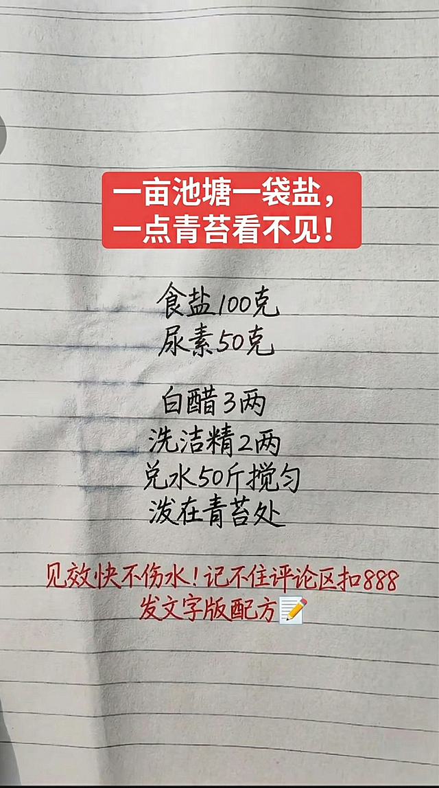 基于原图笔记本横格背景，完全替换内容为新文案，保留原图手写字体风格和红黑字体颜色搭配，排版布局和原图一致，一字不差替换内容：顶部红色块写白色文字"一亩池塘一袋盐，一点青苔看不见！"，下方黑色手写文字为：食盐100克
尿素50克
白醋3两
洗洁精2两
兑水50斤搅匀
泼在青苔处，再用红色手写文字：见效快不伤水！记不住评论区扣888
发文字版配方📝，保证所有文字清晰可见，排版整齐合理