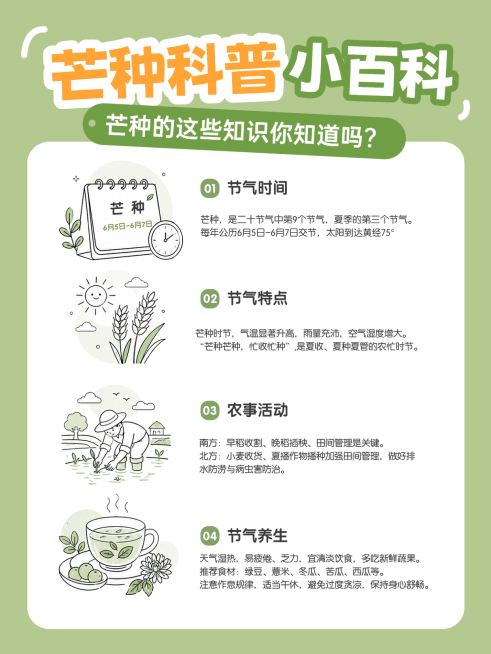 芒种节气科普手账风手绘插画小红书配图预览效果
