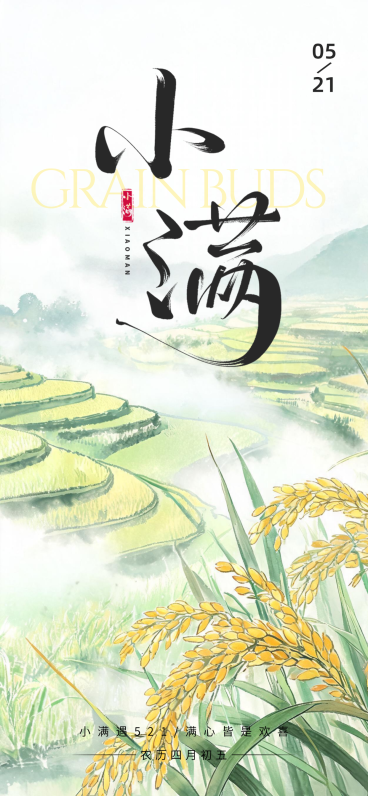 小满通用节气祝福节气插画线上渠道全屏竖版海报预览效果