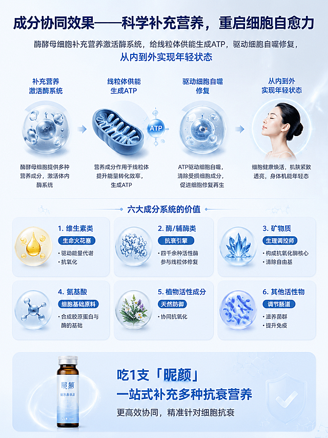 医疗招商PPT内页，主标题：成分协同效果——科学补充营养，重启细胞自愈力，核心逻辑：酶酵母细胞补充营养激活酶系统，给线粒体供能生成ATP，驱动细胞自噬修复，从内到外实现年轻状态
六大成分系统的价值：
1.维生素类：生命火花塞，驱动能量代谢，抗氧化
2.酶/辅酶类：抗衰引擎，四千余种活性酶参与线粒体修复
3.矿物质：生理调控师，构成抗氧化酶核心，清除自由基
4.氨基酸：细胞基础原料，合成胶原蛋白与酶的基础
5.植物活性成分：天然防御，协同抗氧化
6.其他活性物：调节肠道，滋养菌群提升免疫
页面底部总结：吃1支「昵颜」，一站式补充多种抗衰营养，更高效协同，精准针对细胞抗衰
整体风格简约专业，医疗科技感，和前面页面保持一致