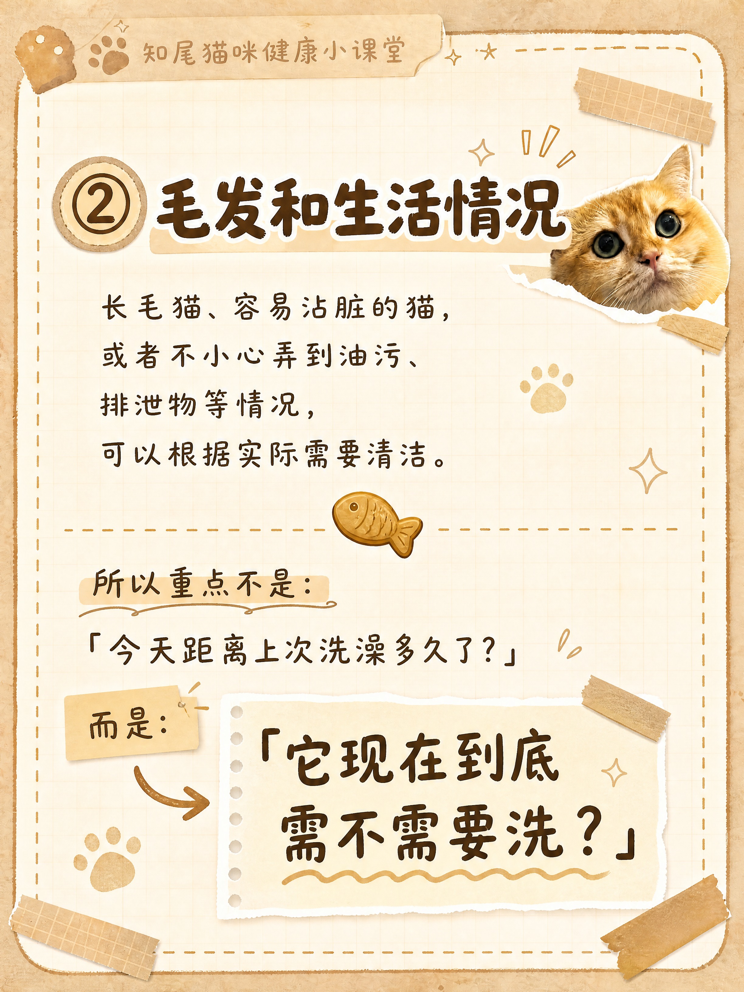 小红书笔记内页图文，手账拼贴可爱风，与参考封面风格完全一致，版… - 图片创意预览