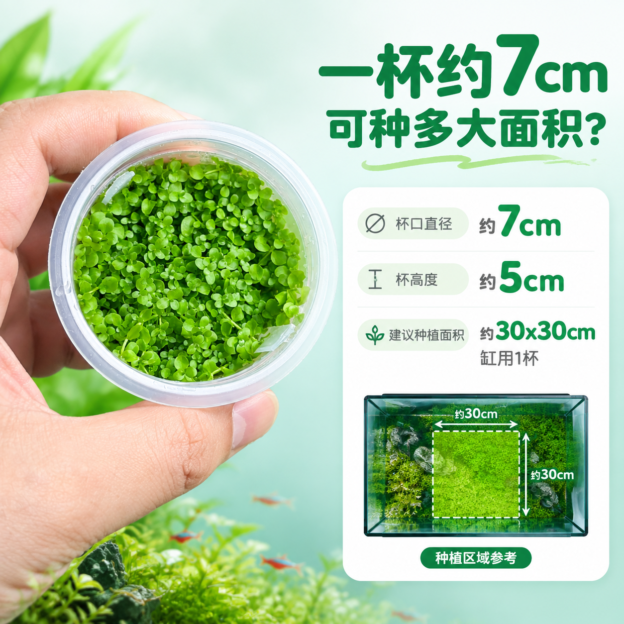 [主图-7] 规格与尺寸 一杯多大 种植面积参考 [统一基调]… - 图片创意预览