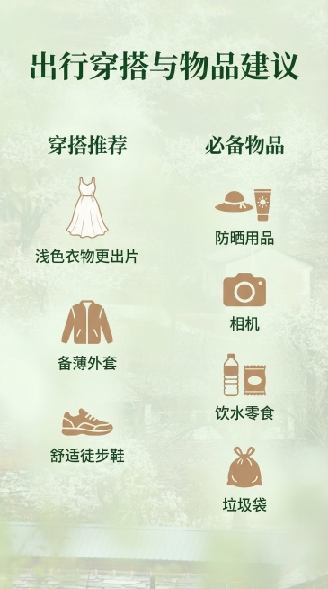 [主图 8] 穿搭物品建议
[氛围/风格] 清新实用风，干净明亮
[画面元素] 背景保留虚化原图梨花元素，前景分左右两栏展示穿搭和物品建议，图标搭配文字，整体布局清晰，保持自然氛围感
[配色色系] 背预览效果