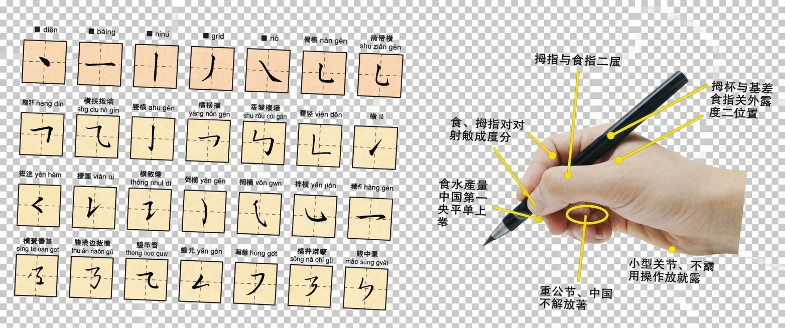 重新绘制这张硬笔书法教程图，保持所有内容和排版不变，左侧展示所有汉字基本笔画的米字格示例，右侧是正确握笔姿势图示，去除白色背景，保留清晰完整的内容，画质清晰预览效果