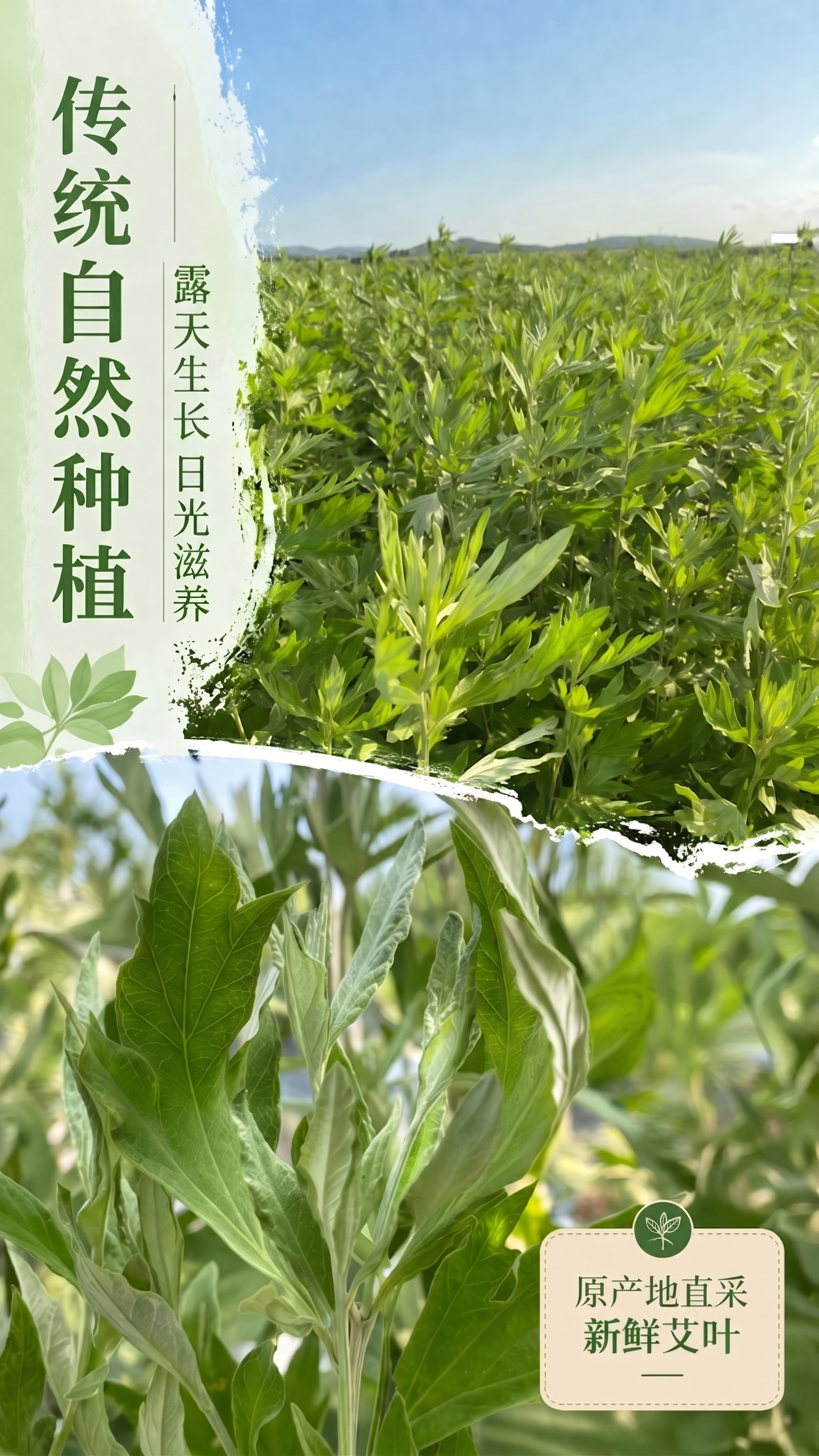 稿定 AI 图片作品 - 图片创意预览