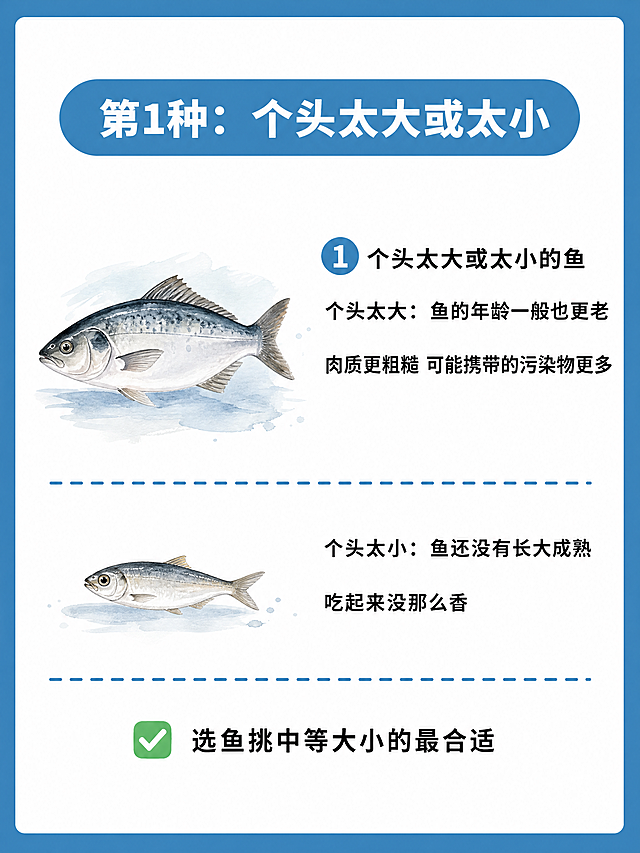小红书健康科普图文内页，插图大字风格，ins清新风，版式精美，小红书笔记内页质感。版式骨架、分区比例、色调体系与参考图保持一致（相似度约70%），文案与配图换为本次内容。参考图为蓝色粗边框+白色内底+圆角卡片+蓝色虚线分隔线+左侧水彩手绘食材插画+右侧文字说明的竖版科普图文风格。顶部蓝色圆角色块标题，逐字锁定：「第1种：个头太大或太小」。正文内容完整呈现：「① 个头太大或太小的鱼
个头太大：鱼的年龄一般也更老
肉质更粗糙 可能携带的污染物更多
个头太小：鱼还没有长大成熟
吃起来没那么香
✅ 选鱼挑中等大小的最合适」。背景：蓝色粗边框包裹白色内底，干净清爽。排版：顶部蓝色圆角底框白色标题字，左侧配水彩手绘大小两条鱼的插画，右侧为黑色正文说明文字，底部绿色对勾标识的建议文字，蓝色虚线分隔层次。插画：水彩手绘风格，大小两条鱼对比，质感柔和，与参考图水彩食材插画一致。装饰：蓝色虚线分隔线、圆角色块标题底框、绿色对勾emoji。整体氛围：健康饮食科普、清晰易读。画质：高清细腻，信息层级清晰，文字完整处于安全区内不可裁切，四周留安全边距。画面比例3:4，4K。图生图：严格使用用户上传图片，【图1】= 版式风格参考图，参考其蓝色边框+白底卡片+水彩手绘食材+虚线分隔的科普图文版式与色调。