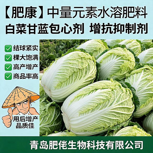 高产增产结果主图，展示使用产品后白菜增产、结球紧实、商品率高的丰收场景，大棵饱满白菜，突出产量提升卖点，拼多多1:1农资主图