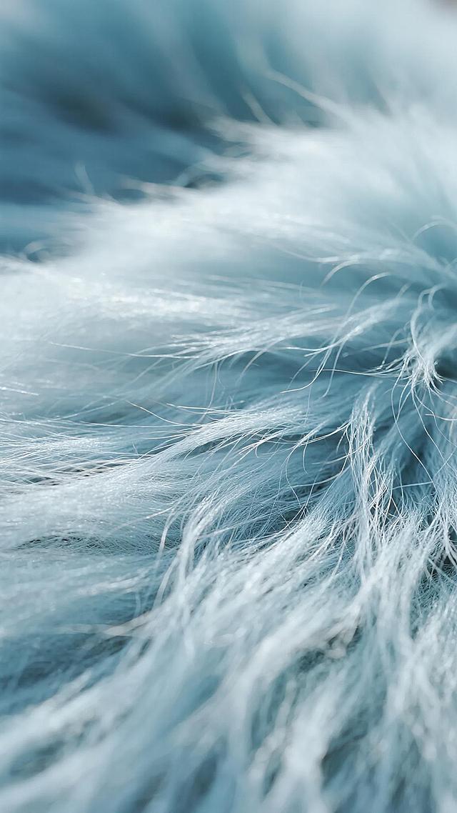 一张毛绒材质的特写照片，展现出柔软、蓬松且细腻的质感，绒毛呈现出自然的波浪状纹理，长短不一的白色绒毛尖端轻盈飘逸，整体风格保持高度统一，主色调为清新的浅蓝色，色彩和谐均匀，柔和的光线从上方照射下来，在绒毛表面形成微妙的光影过渡，高光部分明亮但不刺眼，阴影细节丰富自然，凸显出毛绒的立体感和柔软触感，构图采用特写镜头，聚焦于毛绒的质感表现，背景虚化处理，突出主体的细腻纹理，整体营造出温馨、舒适且治愈的氛围。
