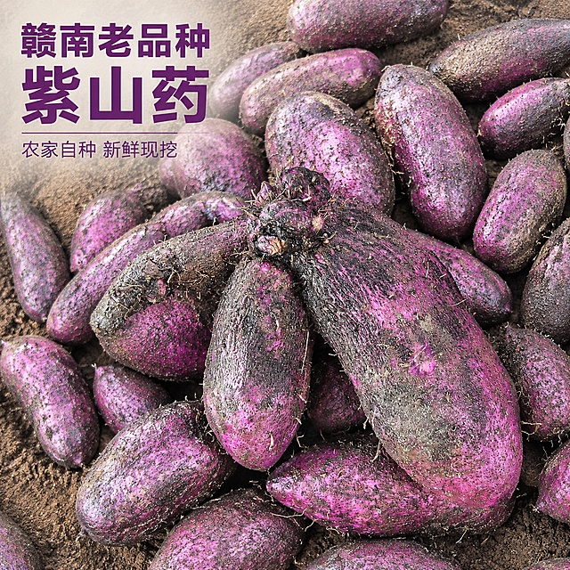 [主图1] 赣南紫山药脚板薯产品首图
[氛围风格] 原生态田间生鲜风，突出天然新鲜
[画质] 商业摄影质感，光线柔和通透，产品清晰真实，画面干净高级
[元素] 堆放在一起的紫山药，中心手掌形紫山药突出展示，保持紫山药产品外观、颜色、纹理、紫色肉质与输入产品图绝对一致，杜绝任何变形和色差，精细化处理。商品主体占比约70%，画面满屏无边框
[光影] 自然光均匀漫射，突出紫山药外皮紫褐纹理和新鲜泥土质感，阴影自然
[配色] 主色调为紫山药深紫褐色，浓郁自然
[视角构图] 俯视平铺拍摄，完整展示堆货状态，产品轮廓完整不裁切
[文字版式] 左上留安全边距左对齐，大字主文案"赣南老品种 紫山药"，深紫色粗体最大号；下方辅助文案"农家自种 新鲜现挖"，小字号浅紫色，不遮挡主体
[输出要求] 1:1比例，文字清晰锐利，超高清商业摄影质感，分辨率2K
[负向提示词] 变形，文字错乱，产品图模糊，背景杂乱，水印，电商平台Logo