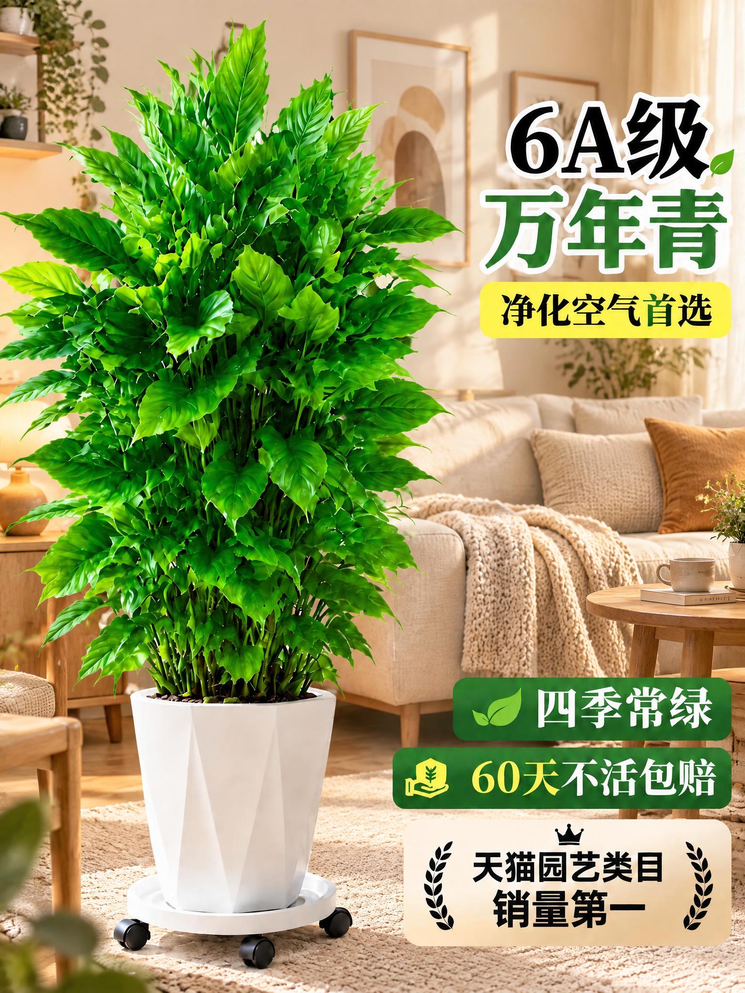 将背景替换为北欧ins风的居家客厅场景，有米白色布艺沙发、原木… - 图片创意预览