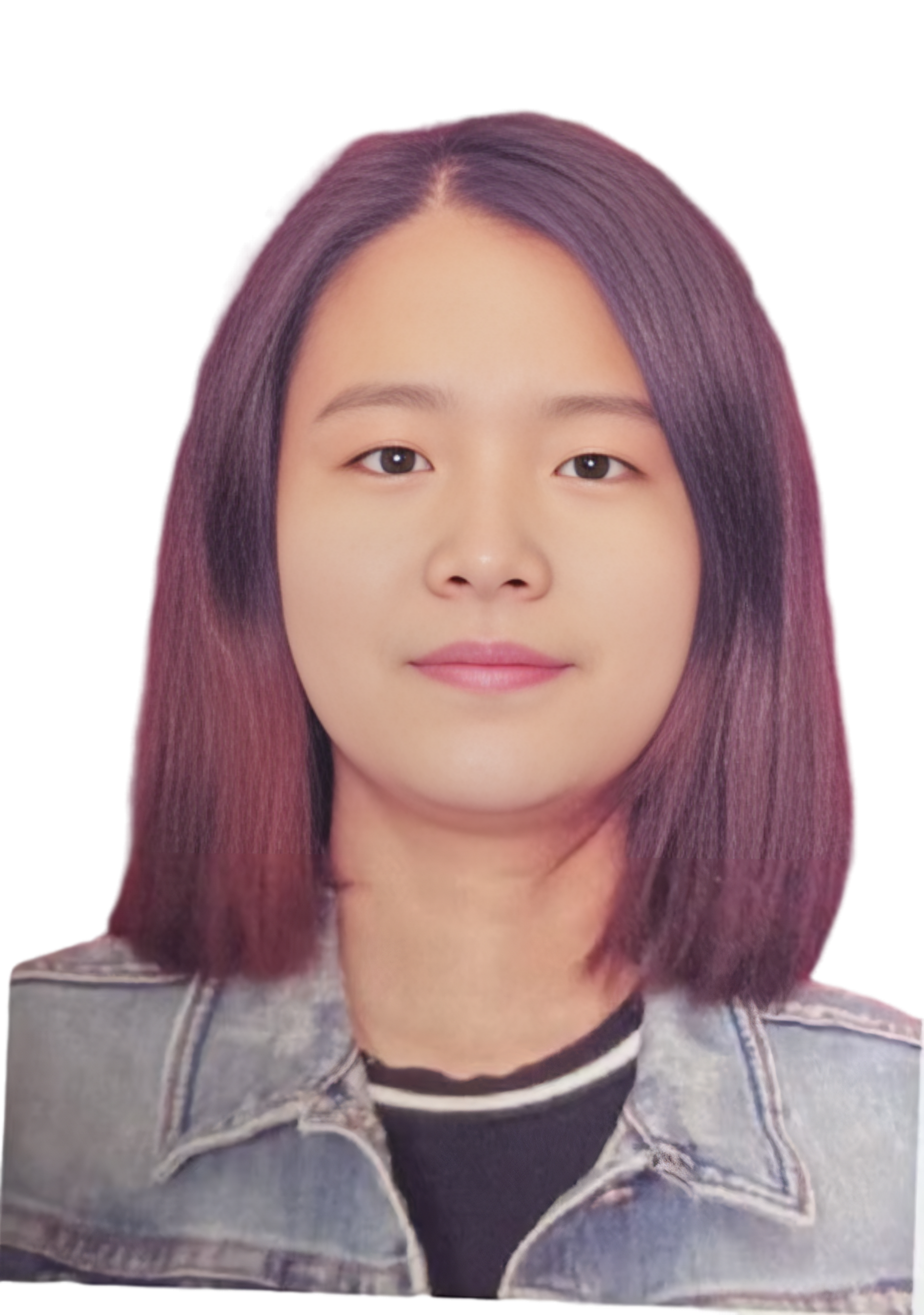 模板预览图