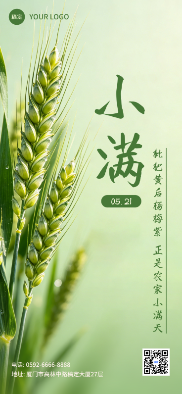 小满节气海报预览效果