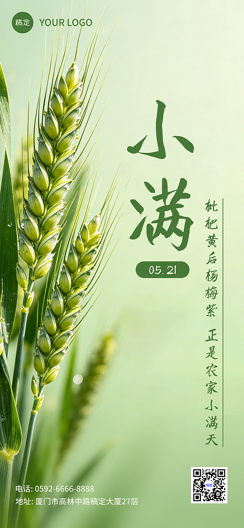 小满节气海报