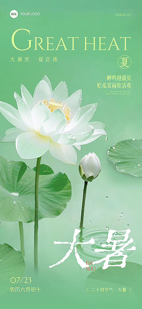 大暑节气祝福实景感荷叶水珠池塘手机海报