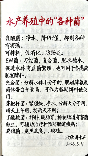 纯白色底版的笔记本格式页面，大字号红色手写楷体标题为“水产养殖中的'各种菌'”，正文内容为黑色手写楷体：“乳酸菌：净水，降PH值，抑制各种有害藻；可拌料，促消化，防肠炎；

EM菌：万能菌，复合菌，肥预览效果