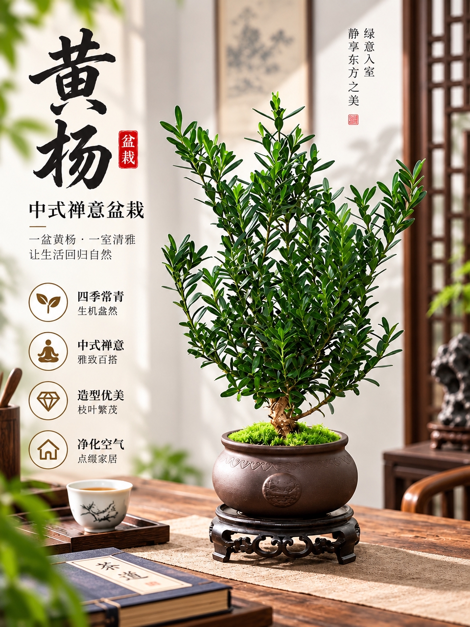 淘宝天猫电商主图，3:4竖版，黄杨盆栽中式禅意绿植，紫砂盆带底… - 图片创意预览