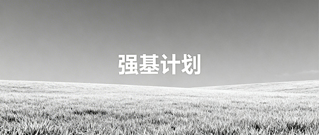图片正中央有文字“强基计划”，无学校名称和logo，采用极简黑白风格