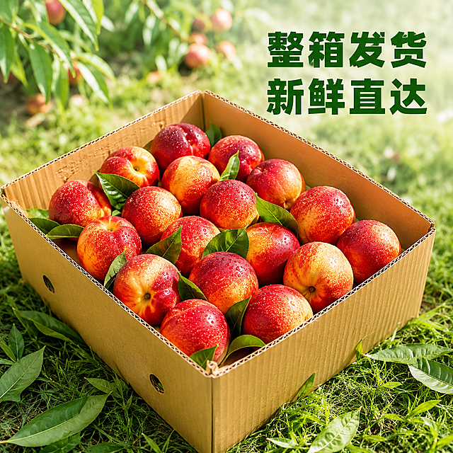 「图片1」，生成一套主图（10张），商品名称是麻点油桃，卖点是脆甜多汁，新鲜采摘，精选大果，风格是果园治愈风，美女在果园宣传介绍，适配拼多多平台，主图比例为1:1
