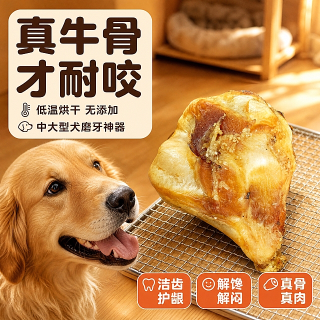 [主图-1] 宠物牛膝盖骨磨牙棒首图点击率，突出真骨耐咬和狗狗爱吃的情绪冲击。
[统一基调] 抖音兴趣电商风，暖橙棕主色调背景，搭配米白圆角卡片和深棕标题字，强调色用橙红色，图标用线性简约风，字体为圆润粗体，整体高清实拍质感，强视觉冲击。
[画面] 画面中心偏右放置一块大号牛膝盖骨磨牙棒，保持原图外观：浅黄带深棕烤色、骨形饱满、表面有肉筋纹理，放在金属网架上。左侧前景有一只金毛犬的头部特写，狗狗正兴奋地盯着磨牙棒，嘴巴微张露出舌头，眼神渴望。背景是温暖的原木色地板和模糊的客厅宠物角场景，有阳光从右侧洒入形成自然光斑。产品占画面约55%，狗狗头部占30%。
[光影质感] 商业宠物摄影质感，主光从右上方45度打来，形成柔和阴影，骨头表面有自然高光，体现真实骨质和肉筋纹理，狗狗毛发蓬松有层次，整体暖色调，温馨有食欲感。
[配色] 主背景暖橙棕色渐变，辅助色米白，强调色橙红，标题字深棕色，卡片米白色圆角，图标深棕线条。
[文字版式] 左上角大标题"真牛骨 才耐咬"，圆润粗体深棕色，字号最大。标题下方两行小字"低温烘干 无添加""中大型犬磨牙神器"，字号缩小60%。右下角三个圆角小标签："洁齿护龈""解馋解闷""真骨真肉"，橙红色底白字。文字均放在负空间，不遮挡产品和狗狗面部。
[输出要求] 1:1正方形，2048*2048，文字清晰可读，产品清晰不变形，狗狗形象自然真实。负向：变形、错字、模糊、杂乱、水印、平台Logo、恐怖表情、畸形狗狗、骨头碎裂。