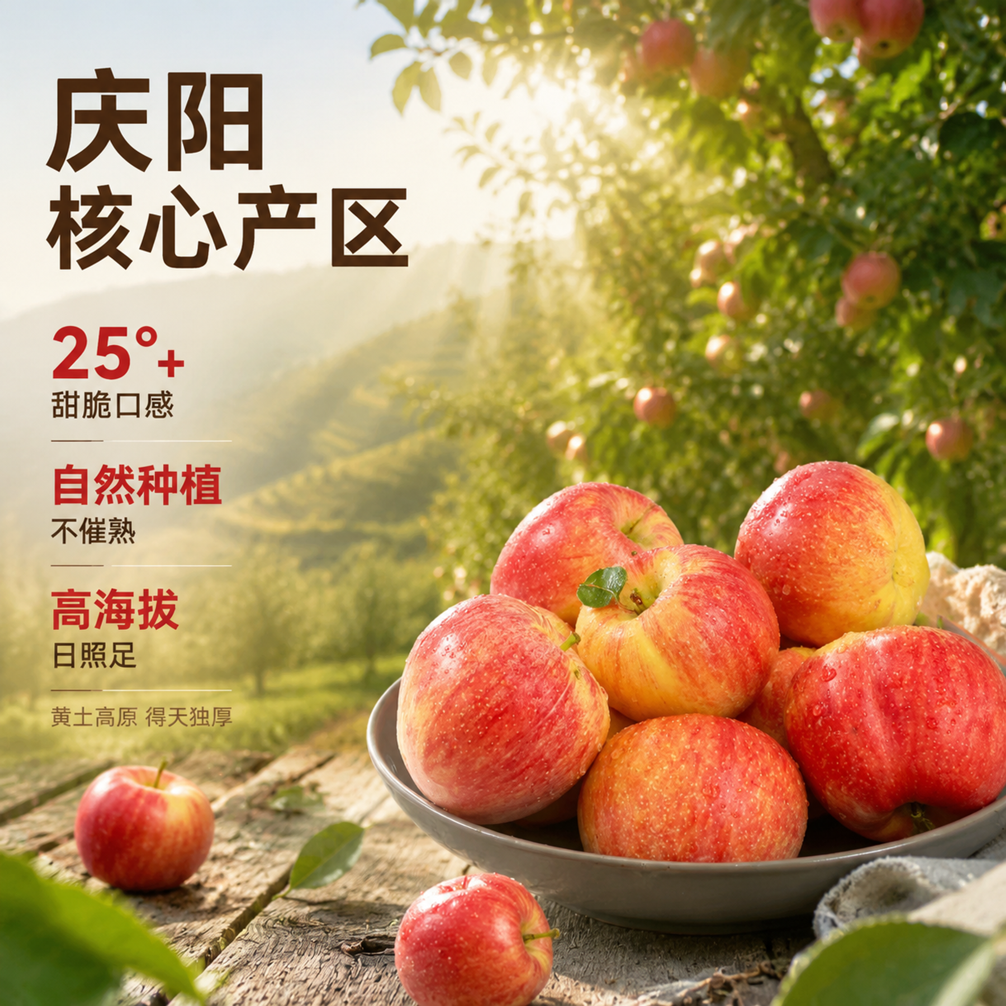 [主图-2] 庆阳鲁丽樱桃小苹果产地溯源图。[氛围风格] 果园… - 图片创意预览