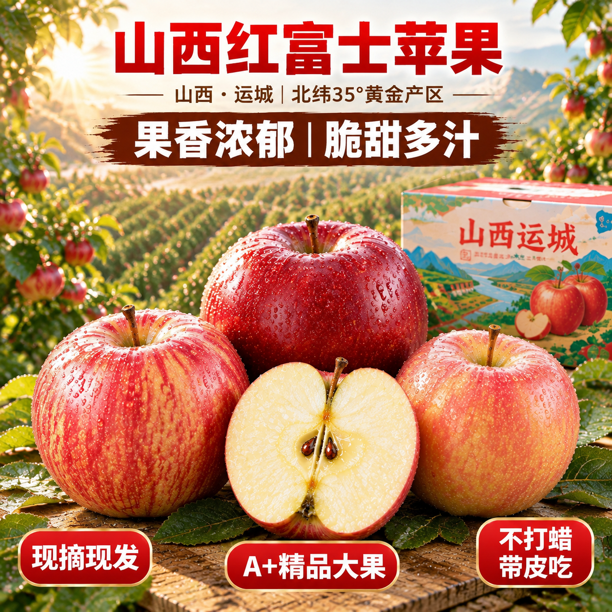 京东电商主图，800×800像素，俯拍90度视角拍摄山西运城苹… - 图片创意预览