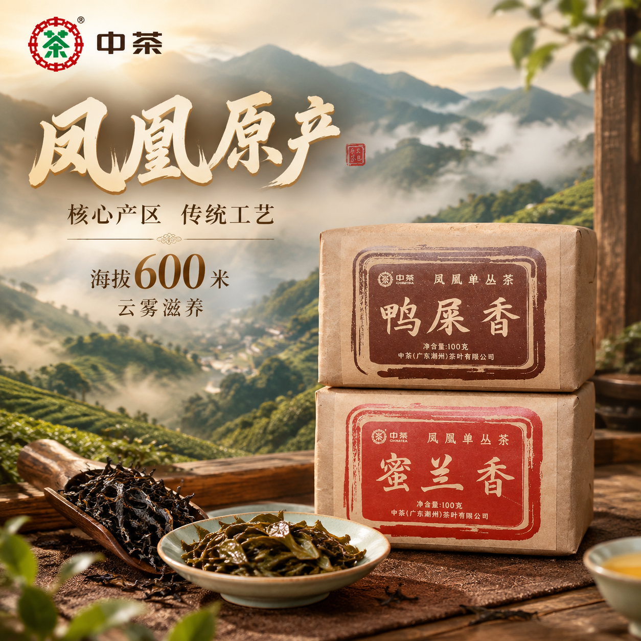 [主图-2 1:1] 核心亮点 产地溯源 潮州凤凰山 沉浸式氛… - 图片创意预览