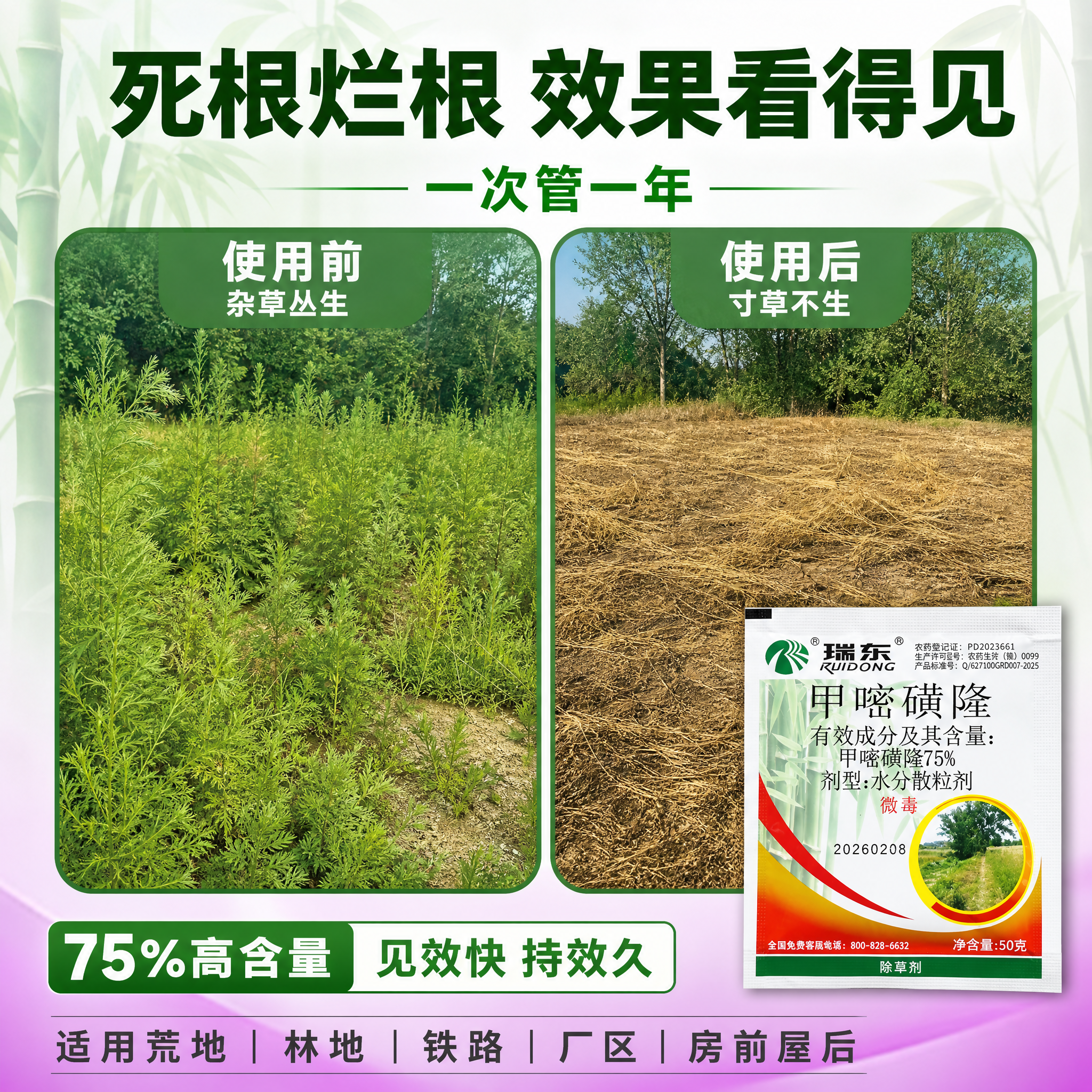 [主图-2] 核心效果证明，主题：除根效果 前后对比 一次管一… - 图片创意预览