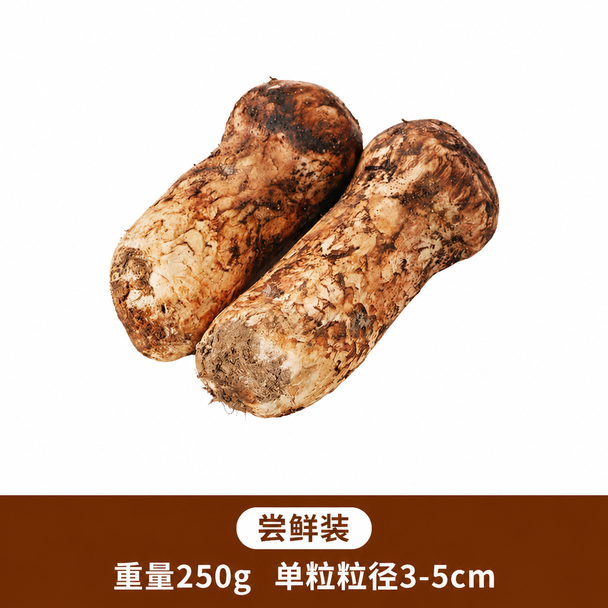 基于这张松茸商品图进行修改：1. 将底部棕色区域文字中的'重量… - 图片创意预览