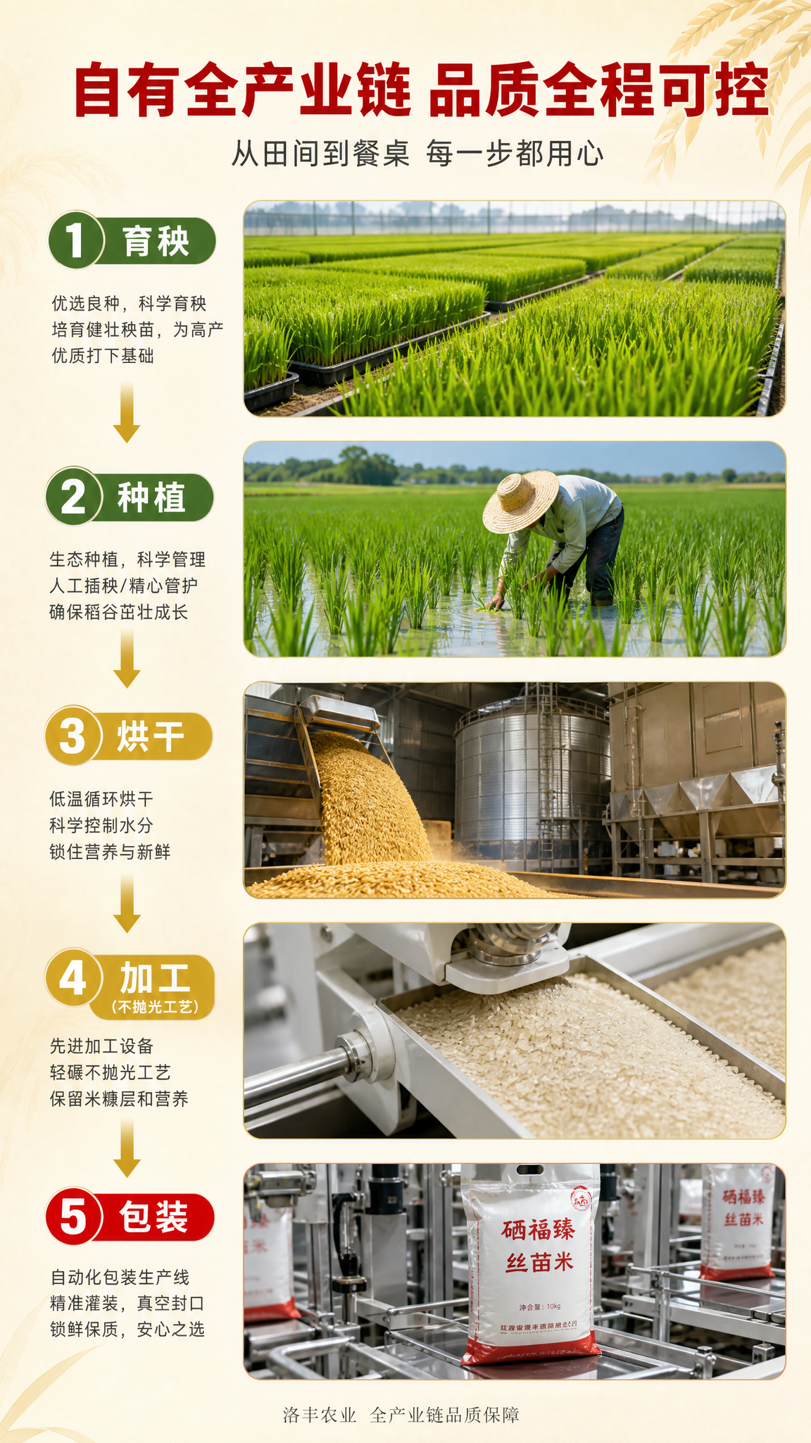 [详情页-3] 硒福臻丝苗大米全产业链图（9:16竖版），食品… - 图片创意预览