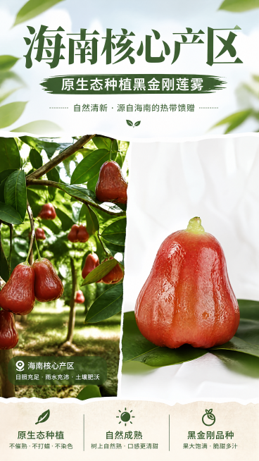 [第2屏] 海南核心产区展示，原生态种植黑金刚莲雾，自然清新风格。左侧搭配海南果园实景，右侧放大展示图4完整莲雾，保持莲雾原始颜色形状，上下分栏排版，顶部大标题。9:16竖版，4K分辨率，文字清晰，避预览效果